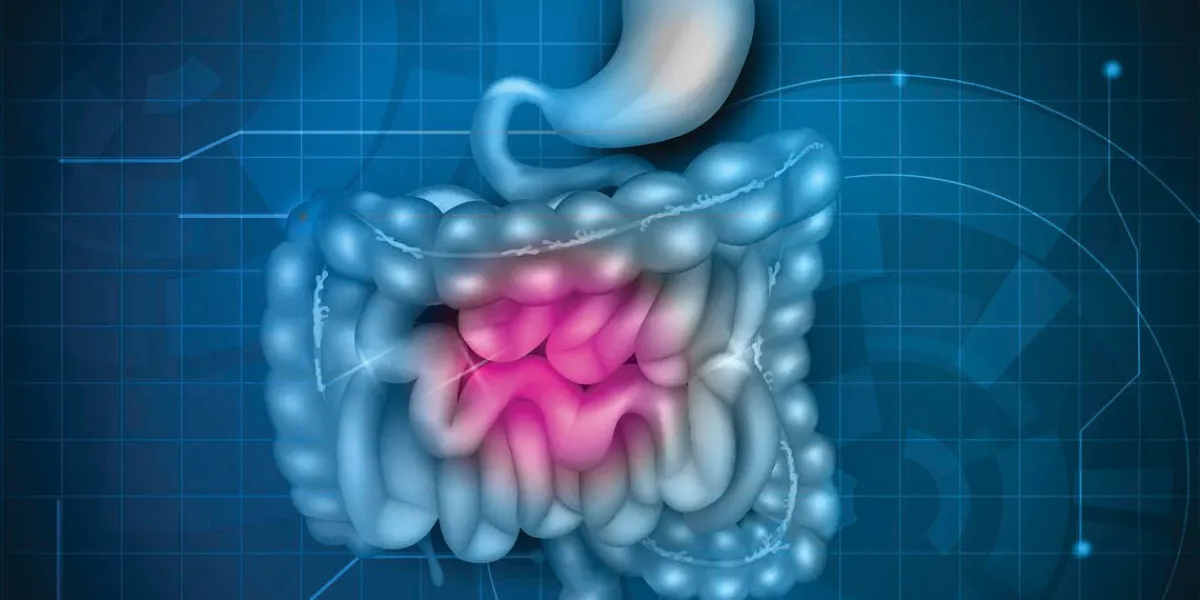 estomac gastro-intestinal, intestin grêle et du côlon, abstrait technologie bleue fond belle illustration lumineuse