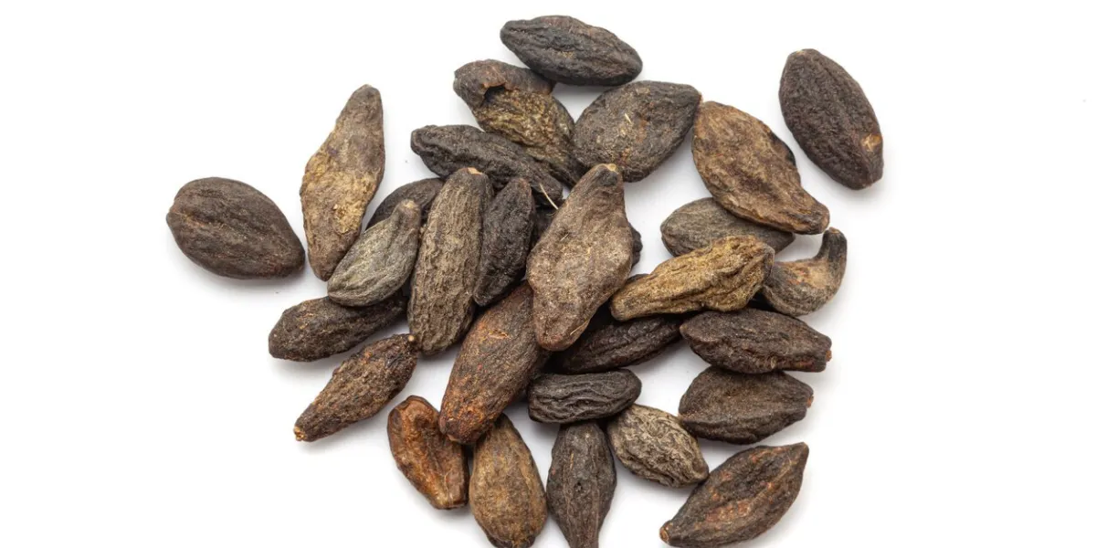 dry organic myrobalan or harad (terminalia chebula), isolated on a white background top view