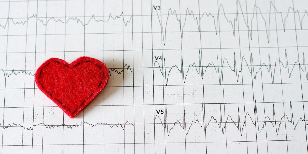 electrocardiogram on paper red heart made of fabric flat top view
