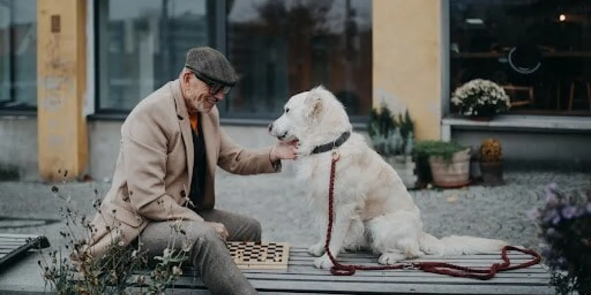 senior man sitting on a bench with his dog and playing chess