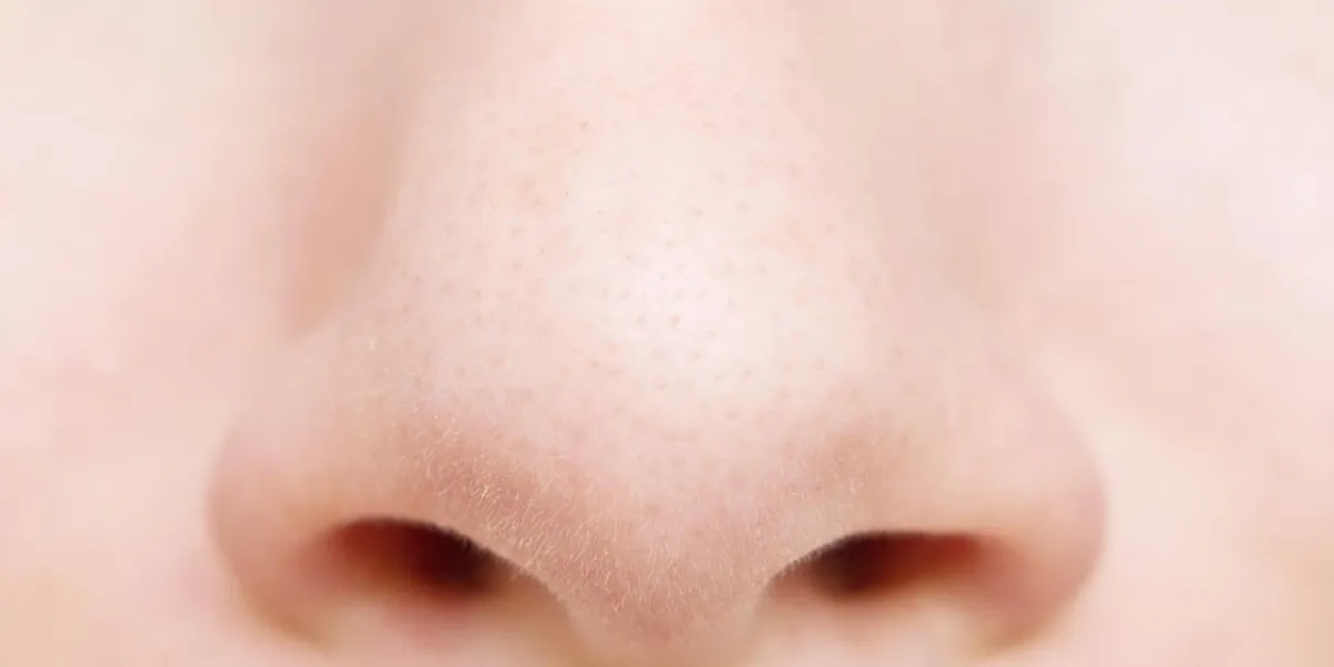 gros plan de nez de femme