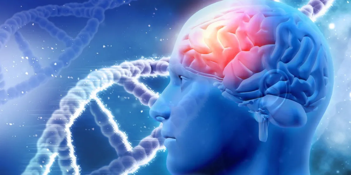 3d fond médical avec tête masculine avec des brins de cerveau et d'adn