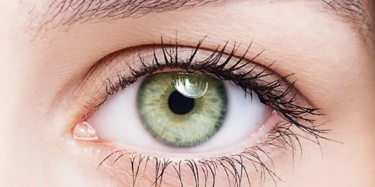 closeup, coup, de, femme, vert, pistachio, couleur, oeil, à, jour, maquillage