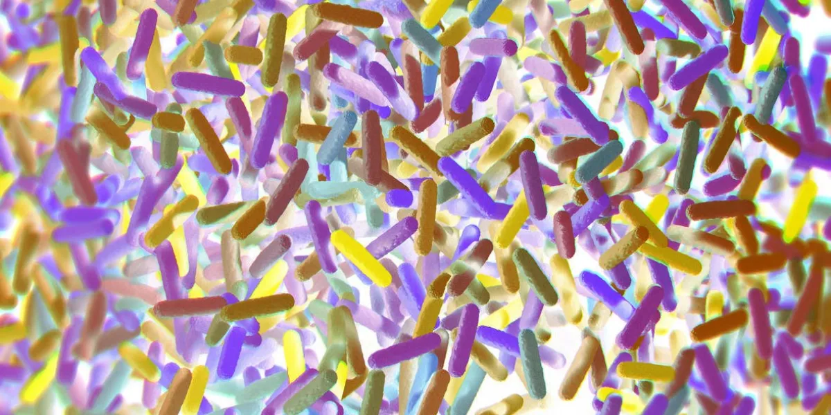 représentation intestinale des bactéries intestinales microbiome 3d