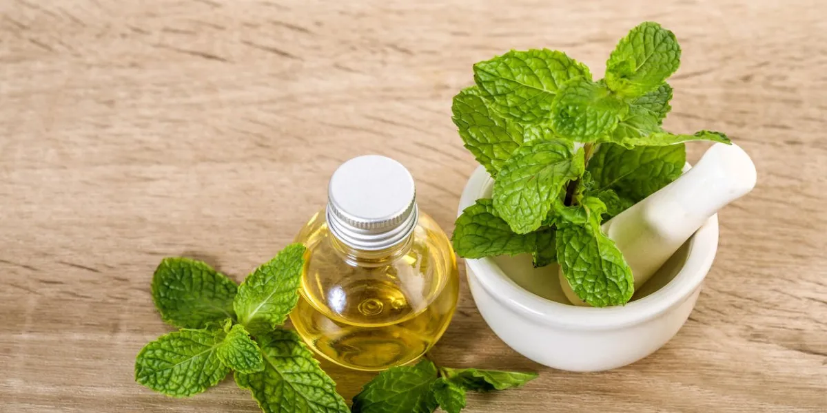aroma essential oil from a peppermint in the bottle on the table with fresh green mint leaf