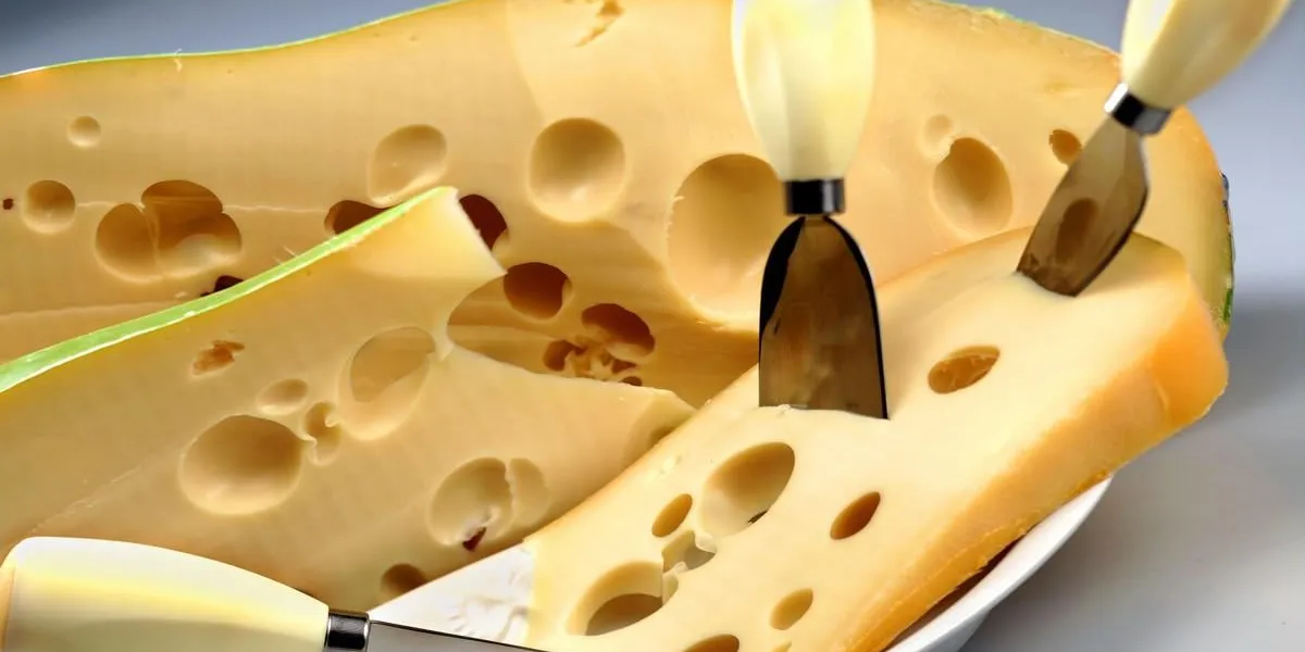 formaggio svizzero
