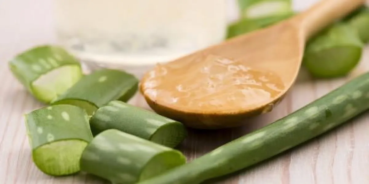 jus d'aloe vera avec des feuilles fraîches