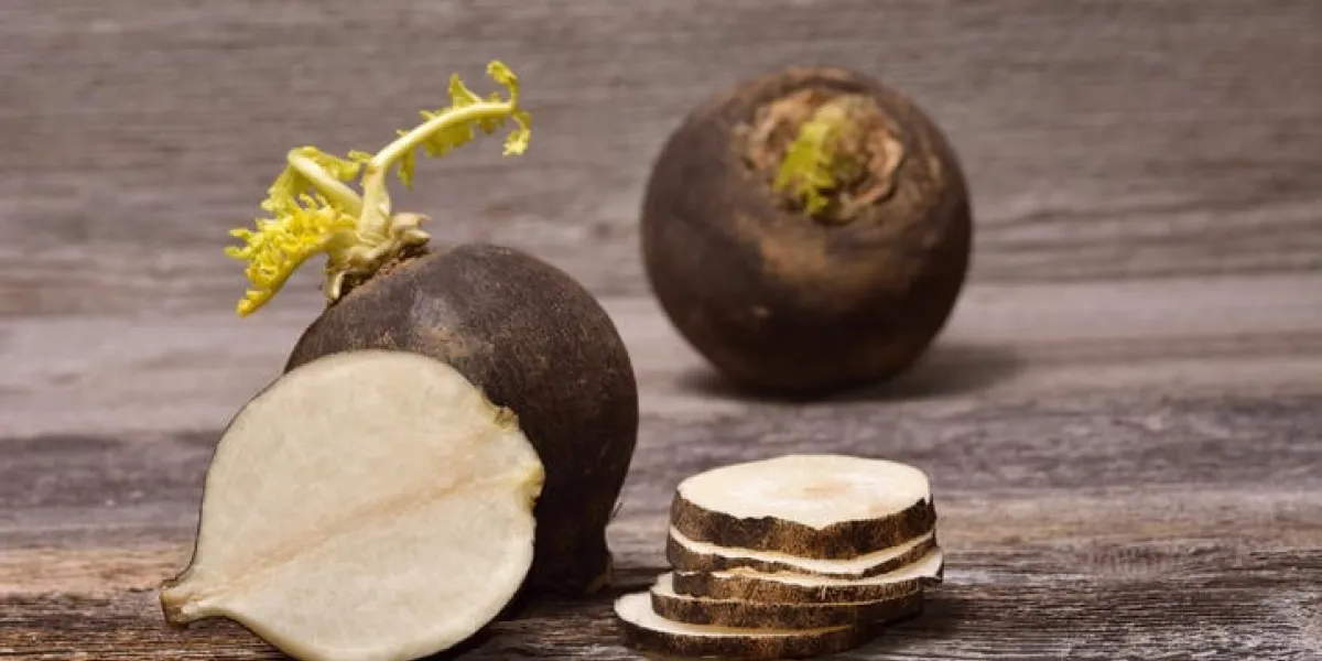 radis noir sur fond en bois