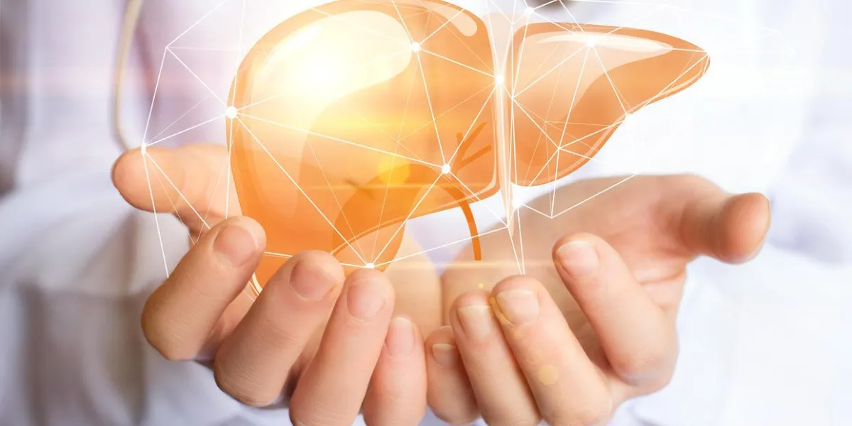 soutenir la bannière de conception de concept de foie sain