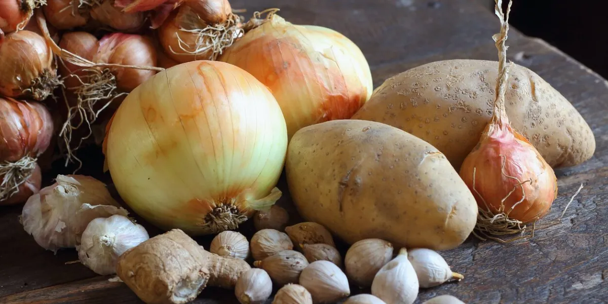 vegetables on the wooden table