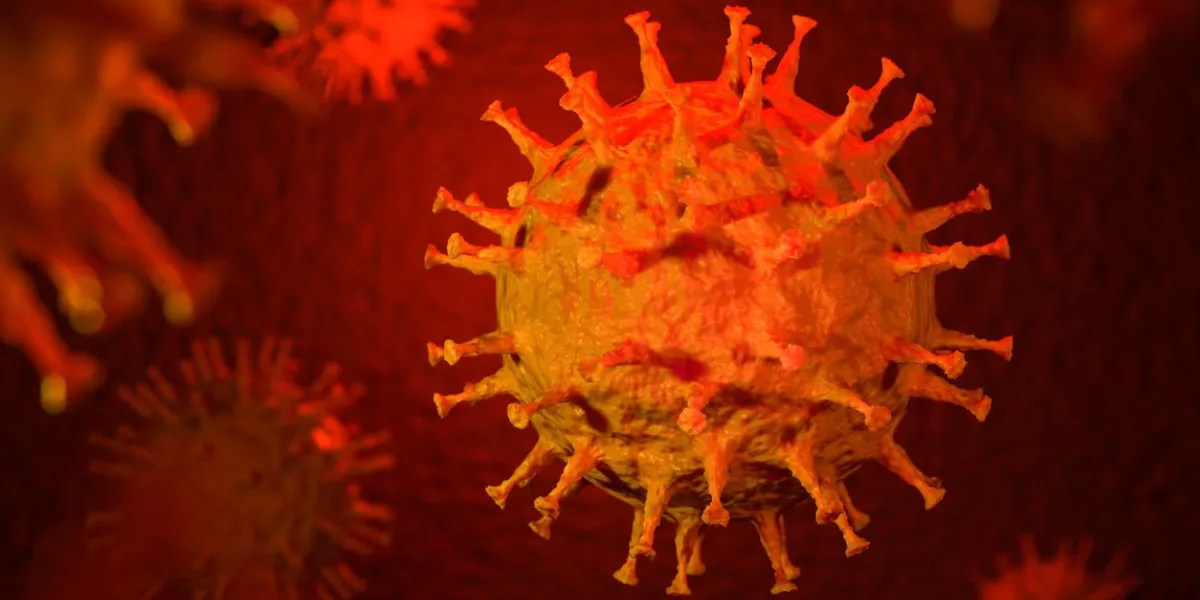 3d render  corona virus - schematic image of viruses of the corona family