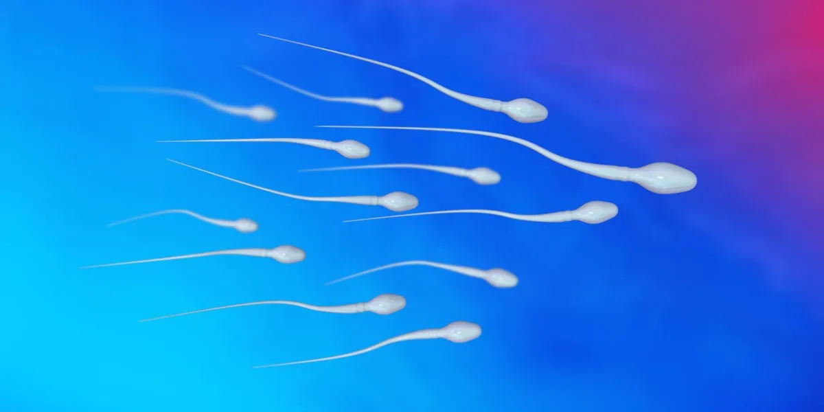 spermatozoïdes blancs sur fond bleu