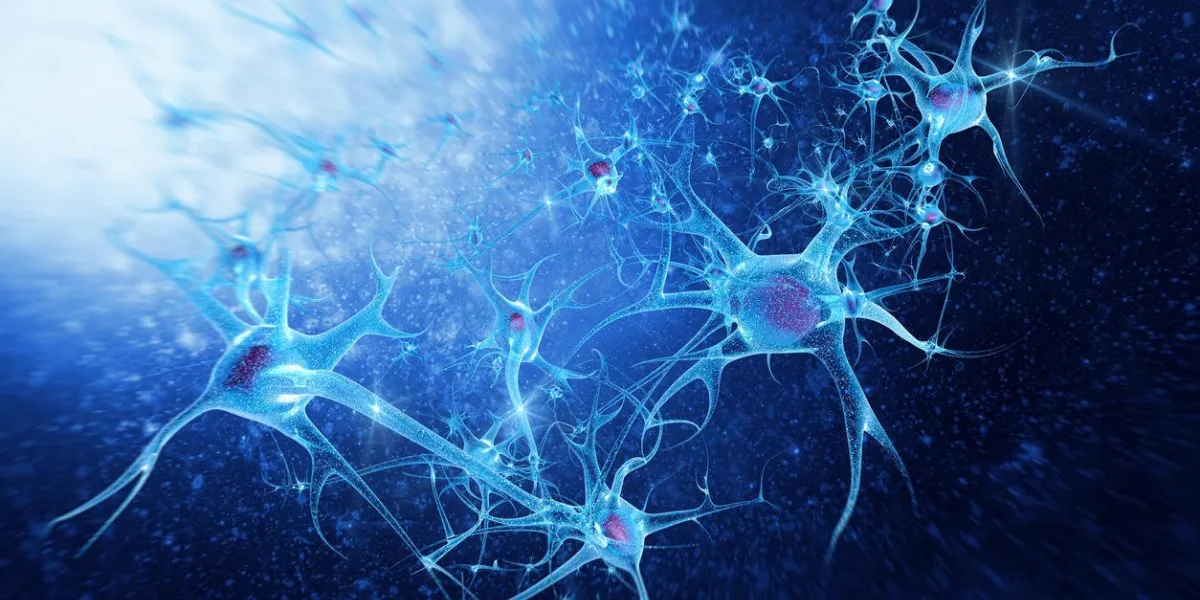 neurones 3d photoréalistes (cellules nerveuses)