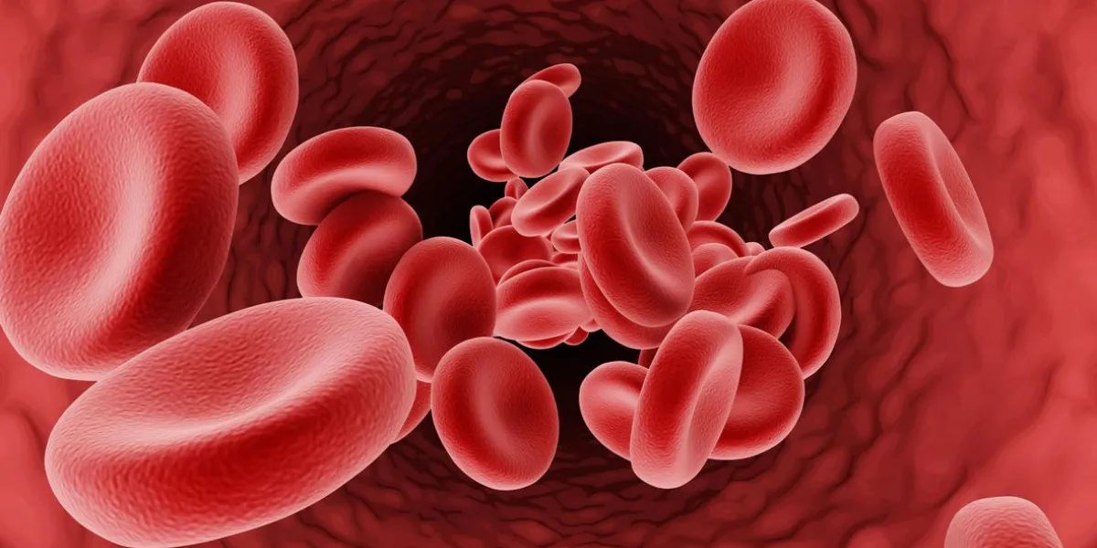 red blood cells flowing through vein