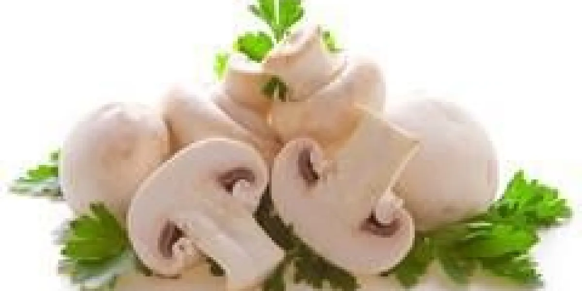 bouton ou champignon champignon isolé sur blanc