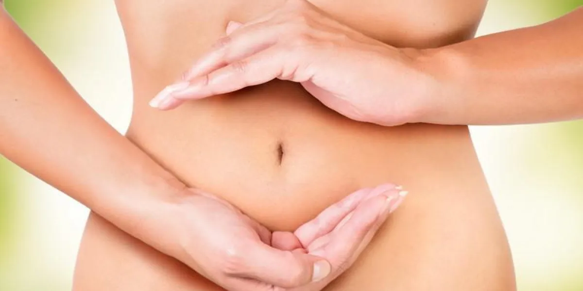 cycle à l'intérieur du corps féminin, cercle de digestion, menstruation