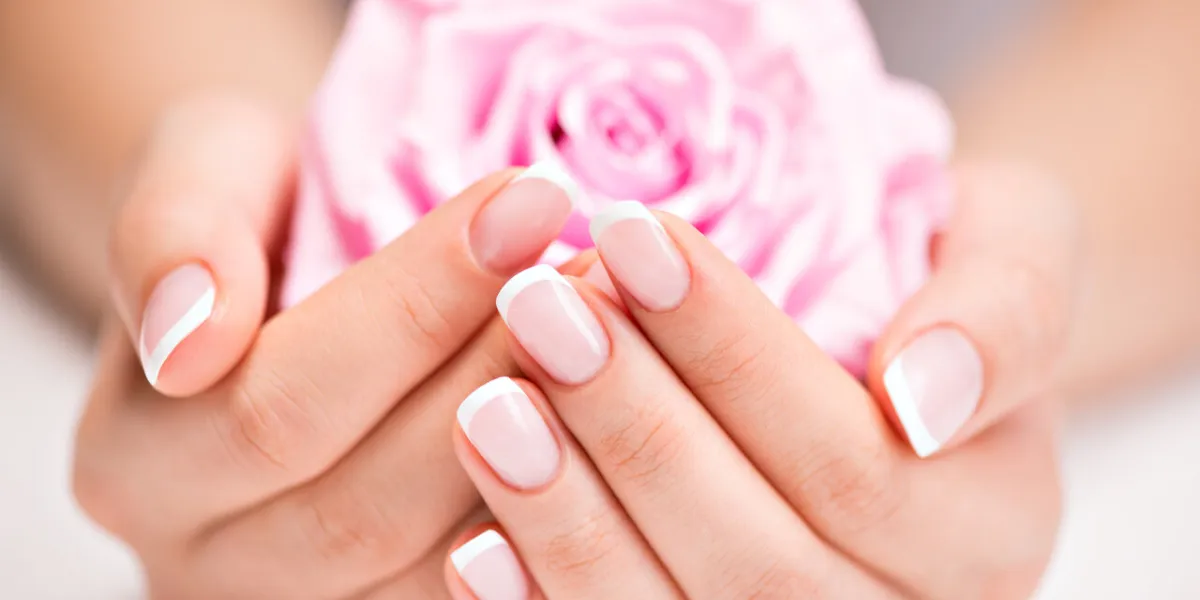 beautiful woman's nails with beautiful french manicure and pink rose