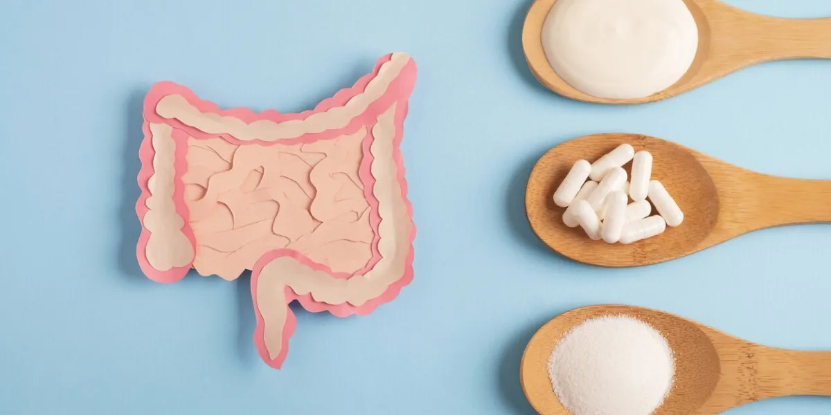 healthy digestion concept, probiotics and prebiotics for microbiome intestine