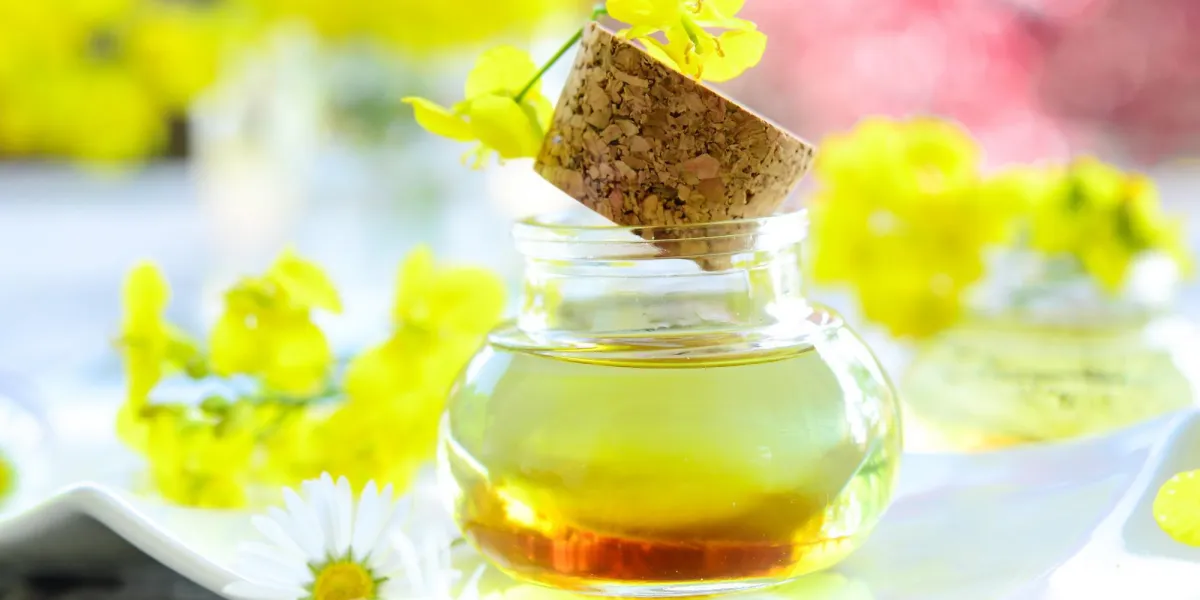 huile de colza - soins de la peau