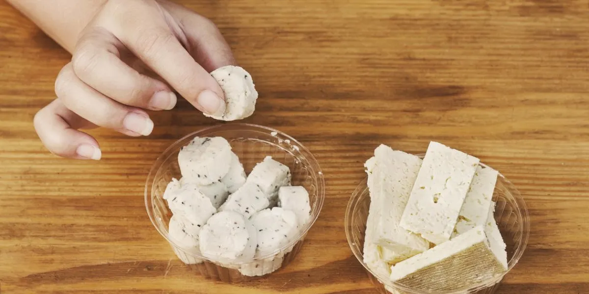 fille prendre en main une tranche de fromage de brebis avec des plantes potagères
