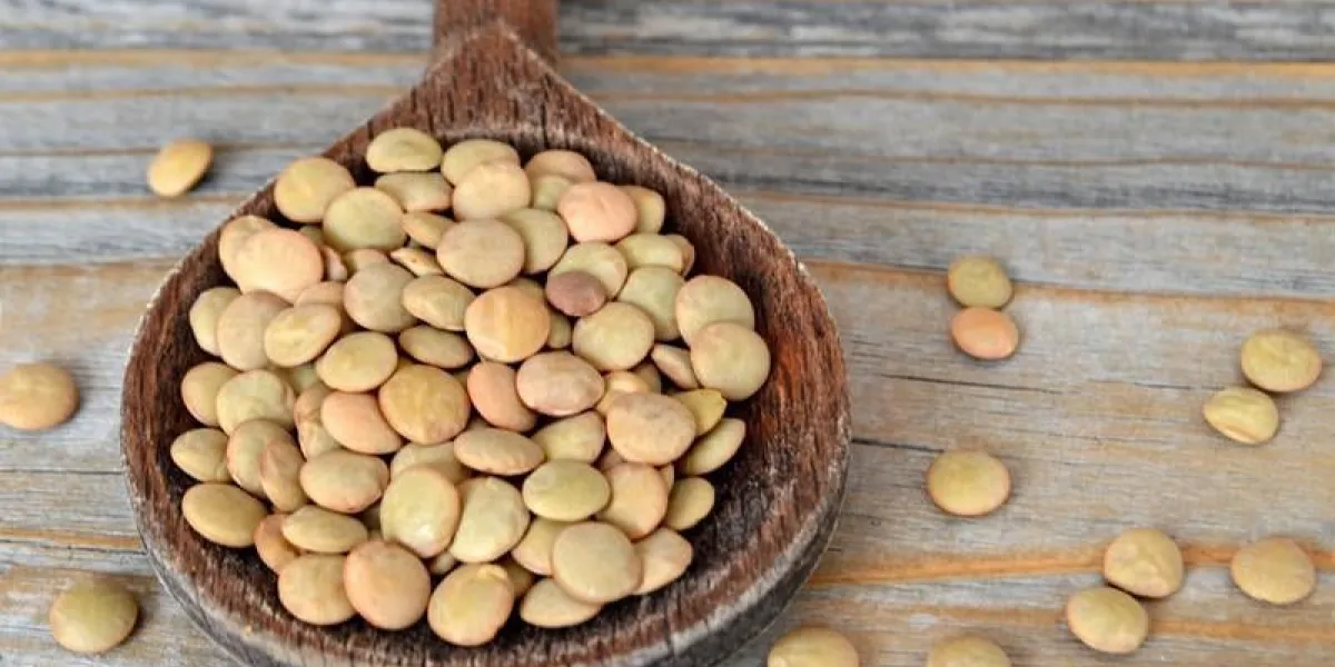 gros plan de haricots de lentille dans une cuillère en bois sur fond en bois