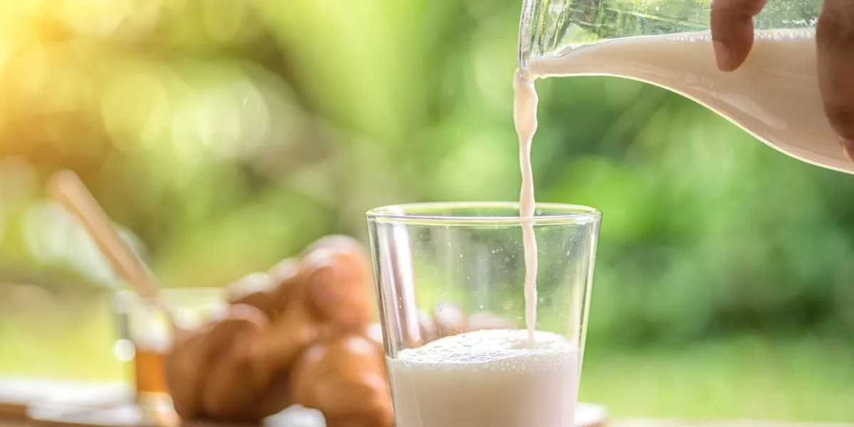 pouring milk in the glass on the background of nature