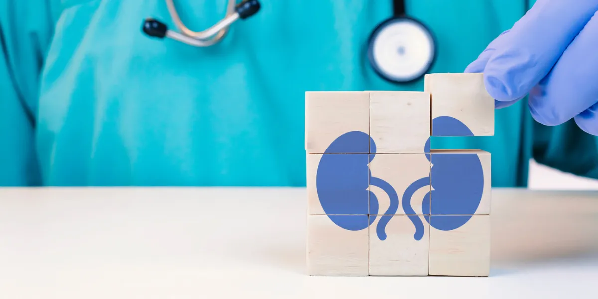 organ donor, kidney problems, kidney pain, kidney cysts, kidney