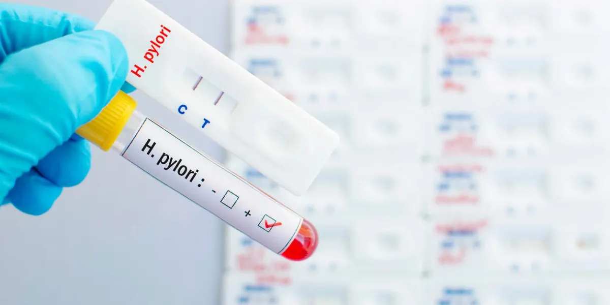 cassette de test rapide pour les tests h pylori dans le sang