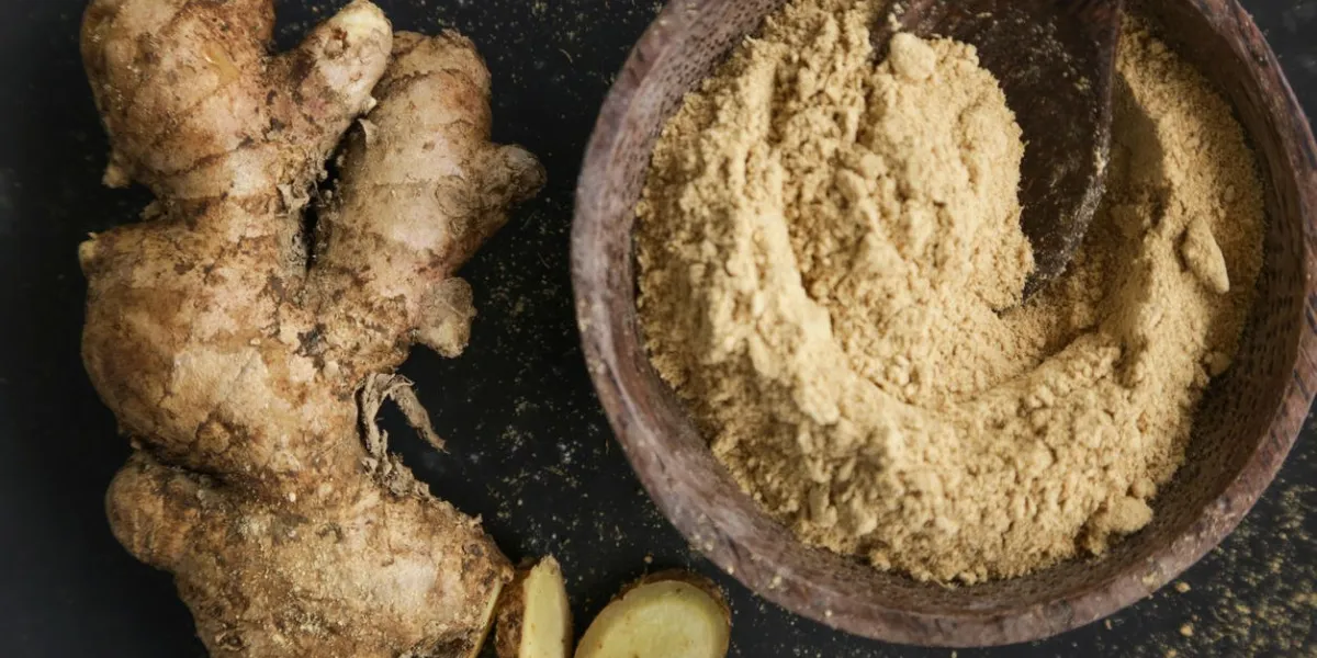 racine de gingembre et poudre de gingembre