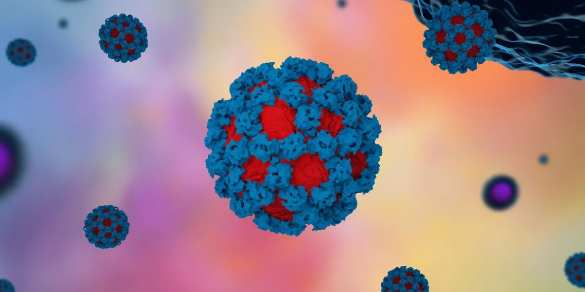 3d render of noroviruses infecting cells
