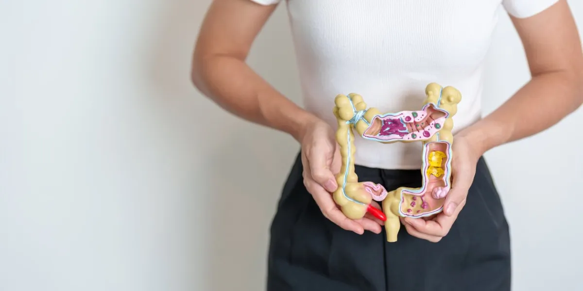 woman holding human colon anatomy model colonic disease, large intestine, colorectal cancer, ulcerative colitis, diverticulitis, irritable bowel syndrome, digestive system and health concept