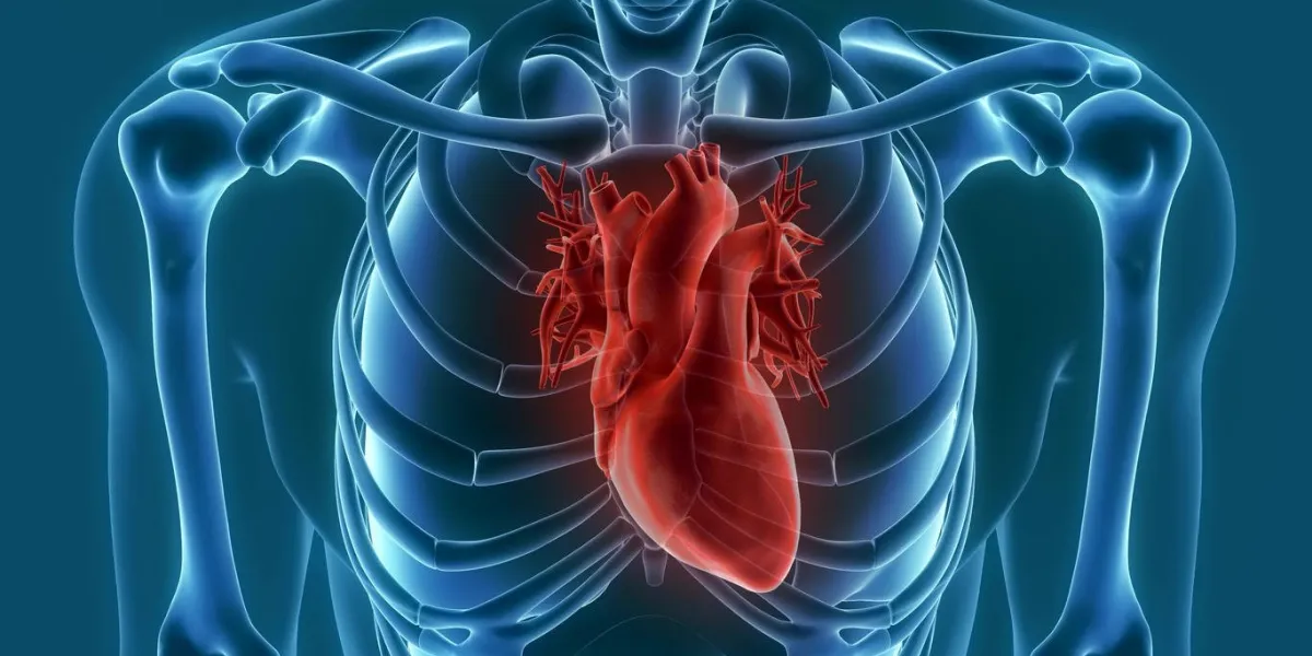 douleur d'organe de coeur animation 3d animation de rendu 3d