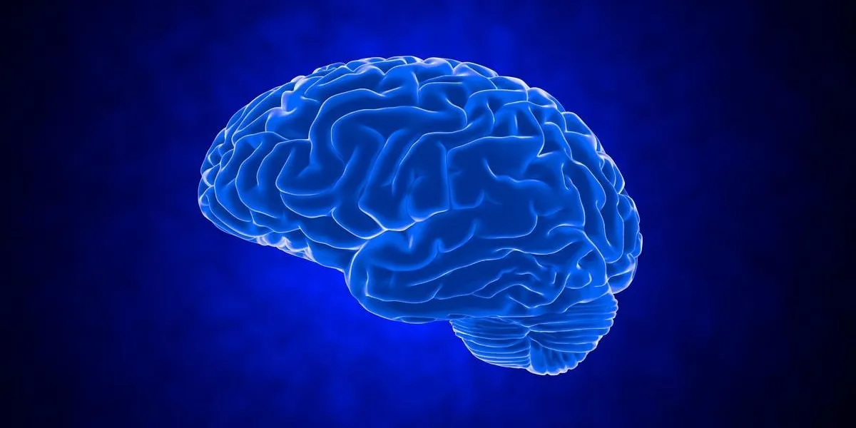 human brain on dark background 3d render
