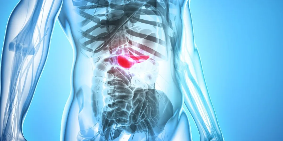 illustration 3d du pancréas - partie du système digestif, concept médical