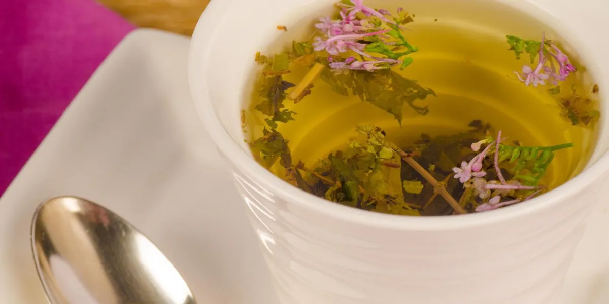 gros plan d'une tasse contenant des tisanes