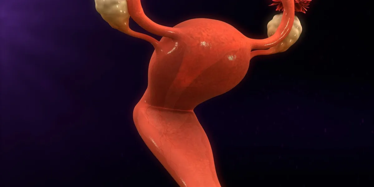 la menstruation, également connue sous le nom de période ou mensuelle, est la décharge régulière de sang et de tissu muqueux de la paroi interne de l'utérus à travers le vagin