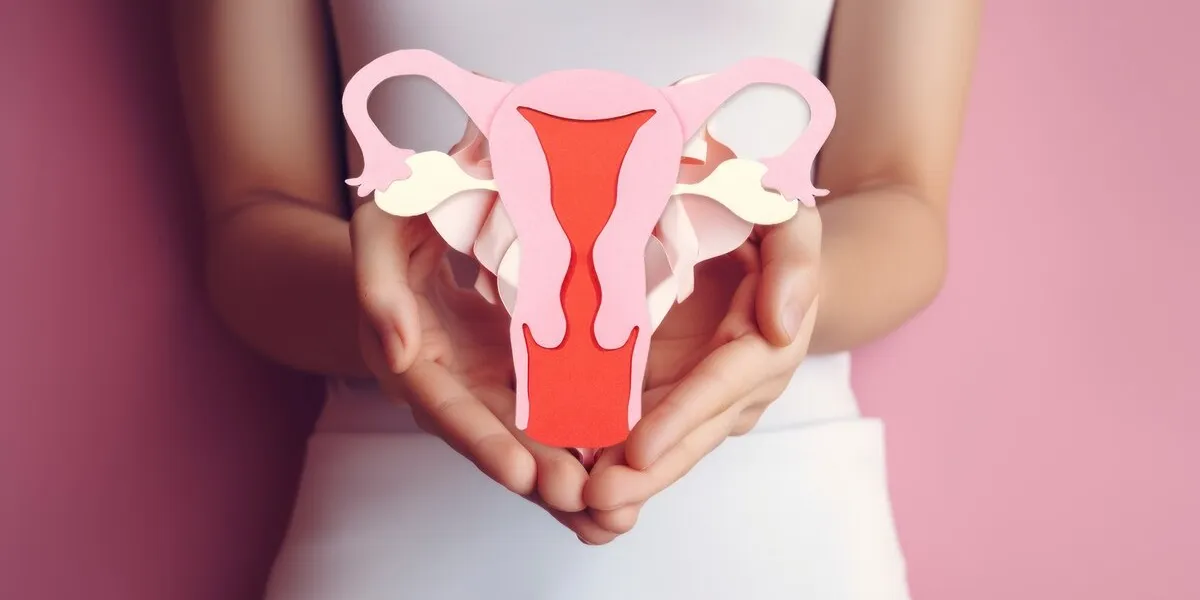 female reproductive health concept woman hand holding uterus sh