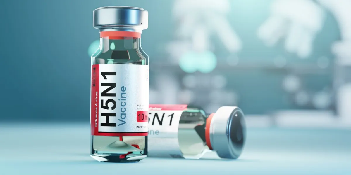 a vaccine vial of h5n1, avian influenza disease vaccination development concept 3d illustration