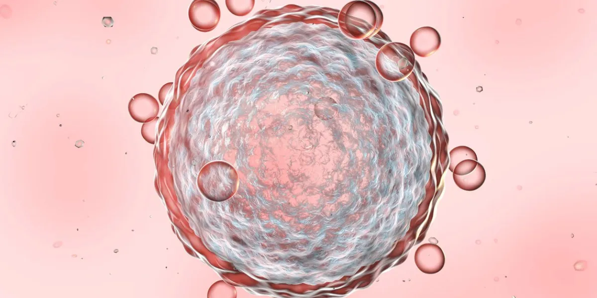 human female egg cell on colorful background 3d illustration