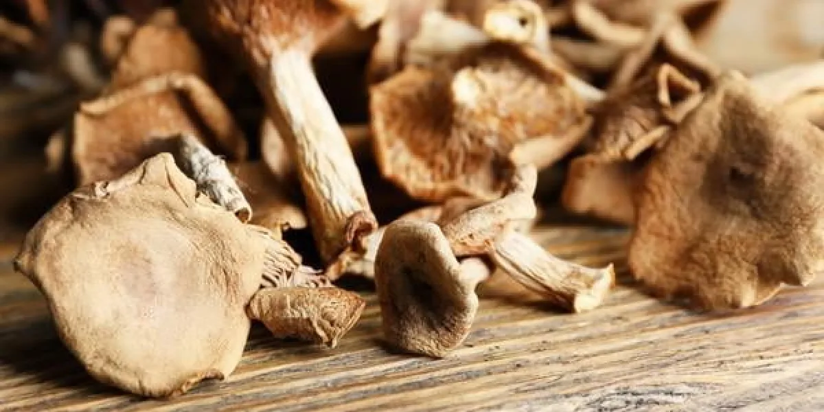 champignons séchés sur une planche à découper, gros plan