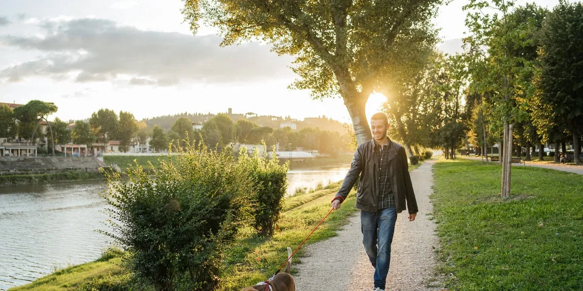 young man takes his beloved dog for a walk in the park at sunset - millennial in a moment of relaxation with his four-legged friend
