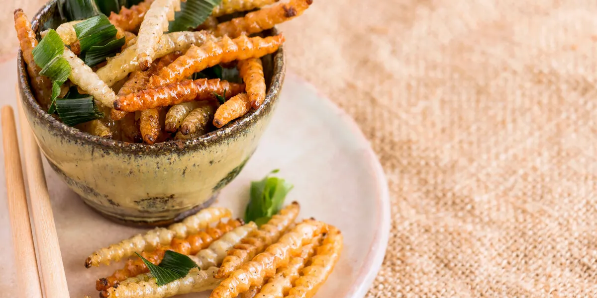 food insects  bamboo worm (bamboo caterpillar) insect fried crispy for eating as food items on plate with chopsticks on sackcloth, it is good source of protein edible for future food concept