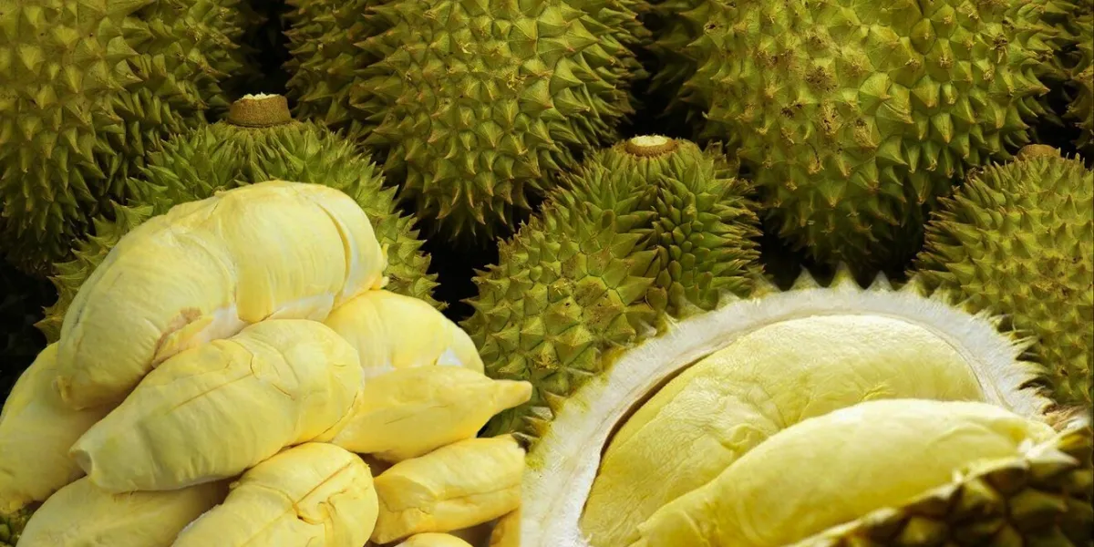 durian, yellow with thorny rind it's a popular fruit