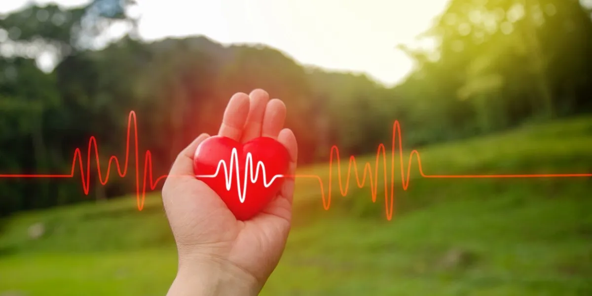 a red heart in hand and a white and red line wave drawing charity donation linear symbol