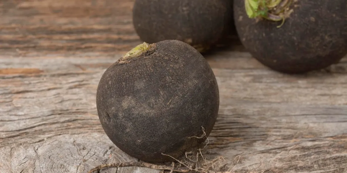 black radish on wooden background