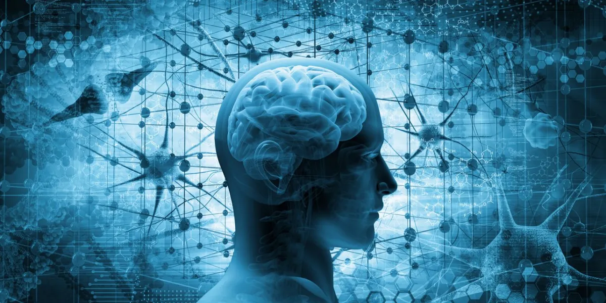 brain, thinking concept