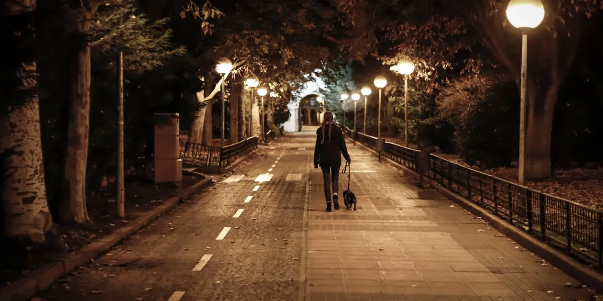 young pretty girl walking the dog at night in winter