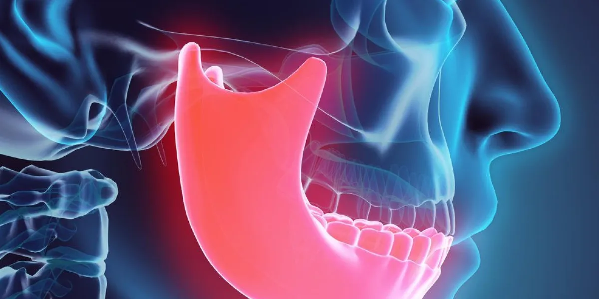 illustration 3d de la mandibule - partie du squelette humain