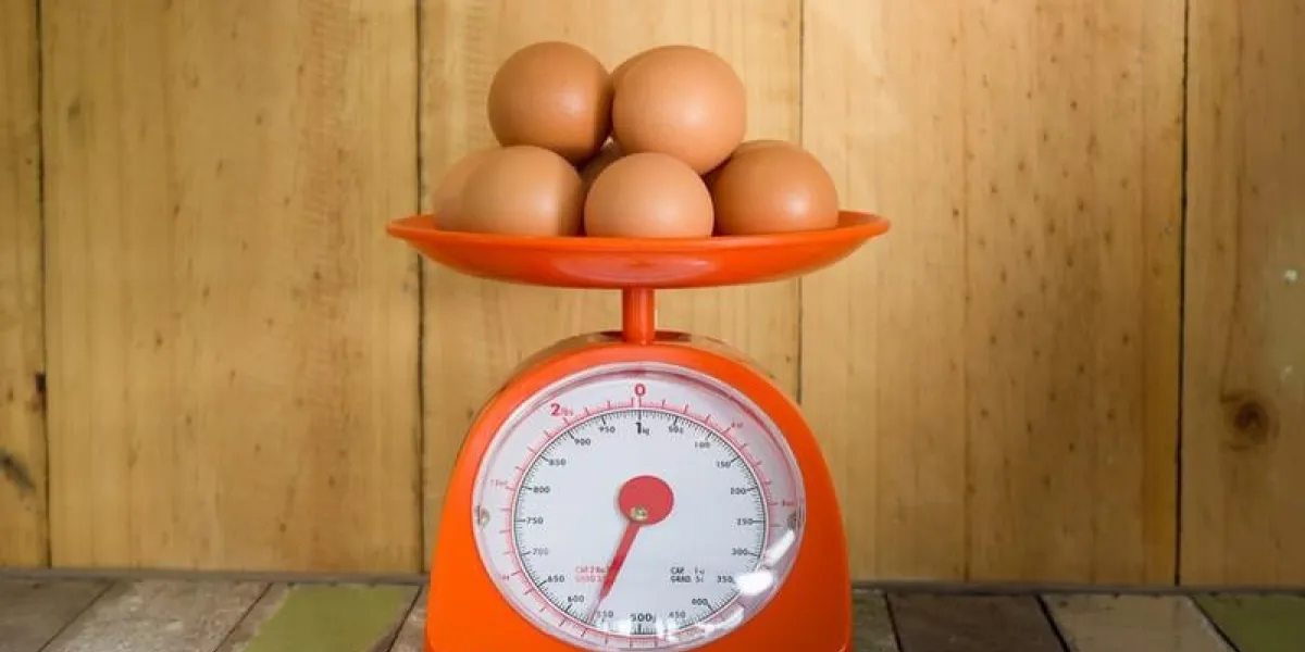 oeuf sur les échelles