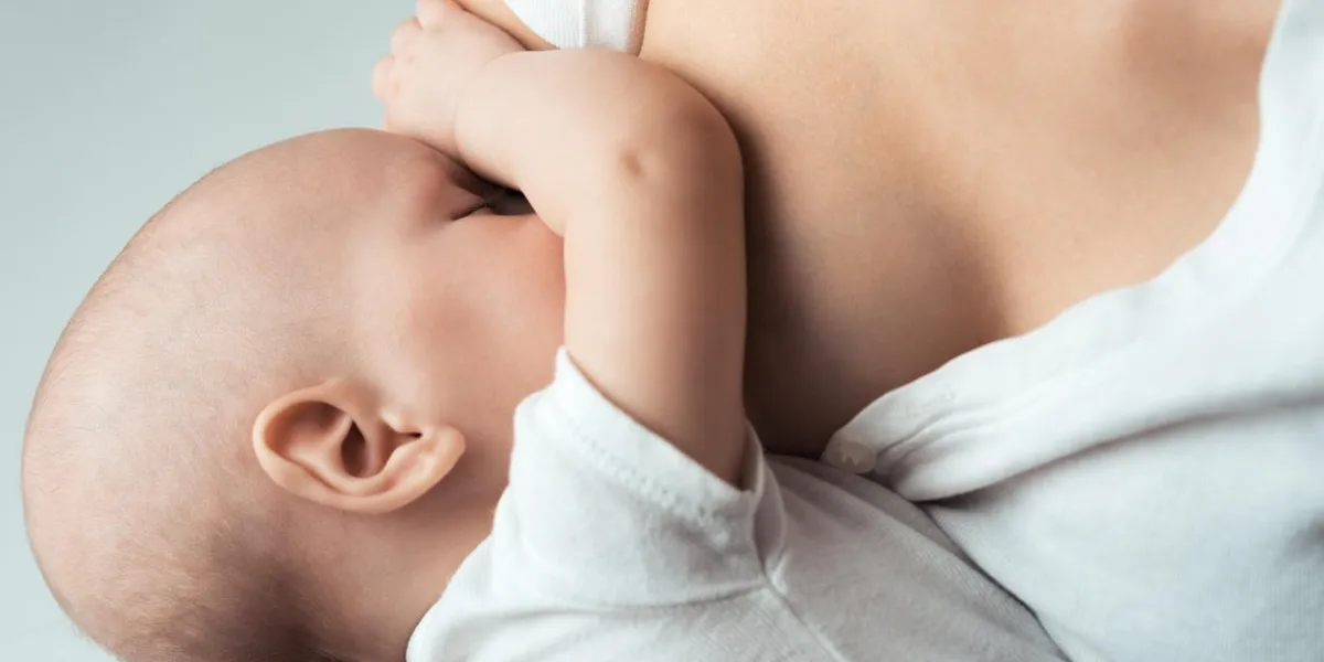 bébé se nourrit des seins de maman